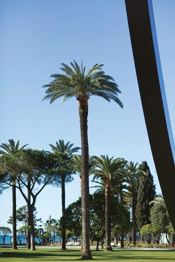 Apartmán Centrale 2 - F4 Spacieux Et Confortable Au Centre Du Vieux-Nice Exteriér fotografie
